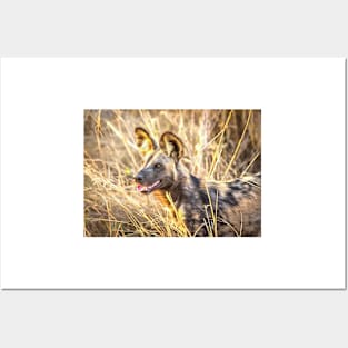 Alert African Wild Dog Posters and Art